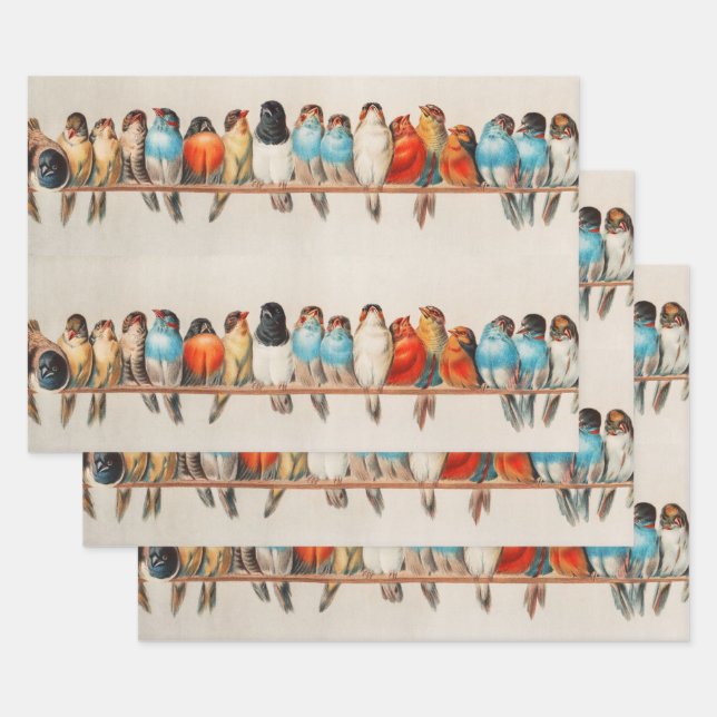 A Perch of Birds, 1880 by Hector Giacomelli Wrapping Paper Sheet (Set)