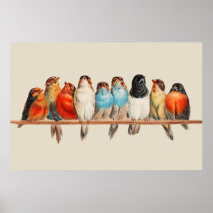 A Perch of Birds Poster