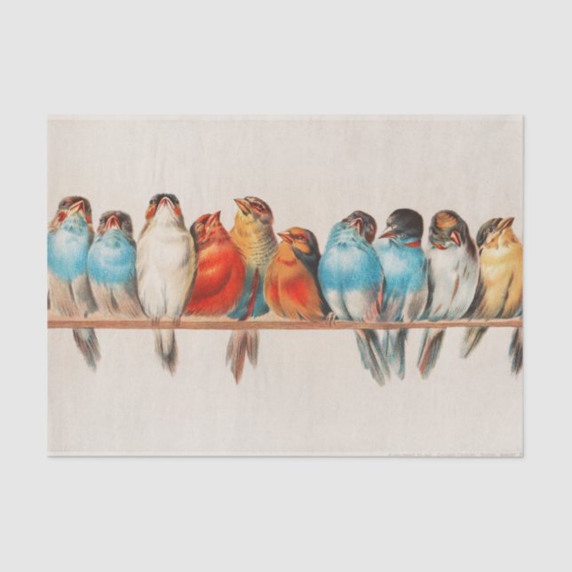 A Perch of Birds Tissue Paper (Front)