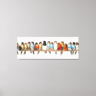 A Perch of Birds Vintage Finch Illustration, 1880 Canvas Print