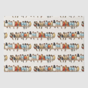 A Perch of Birds Vintage Finch Illustration, 1880 Tissue Paper