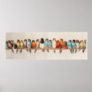 A Perch of Birds Vintage Illustration Poster