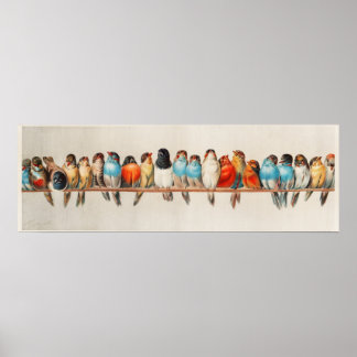A Perch of Birds Vintage Illustration Poster