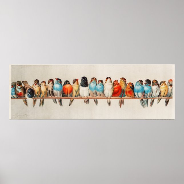 A Perch of Birds Vintage Illustration Poster (Front)