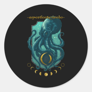 A Perfect Circle €“ Moon Oracle Classic Round Sticker