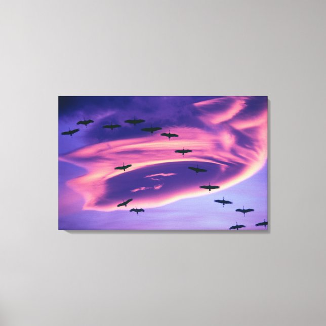 A photo composite of Sandhill cranes in flight Canvas Print (Front)