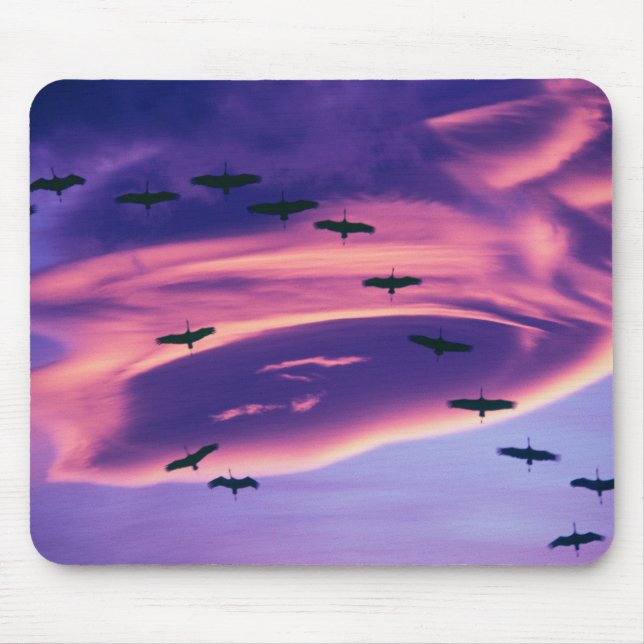 A photo composite of Sandhill cranes in flight Mouse Mat (Front)