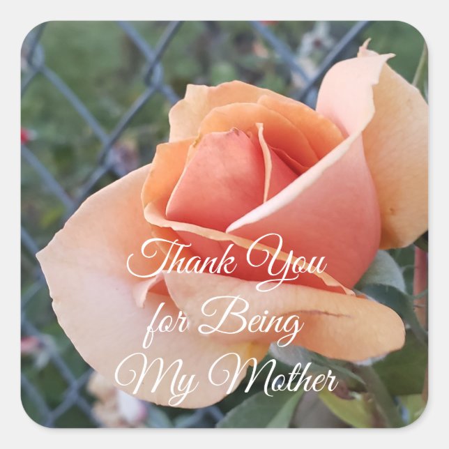 A Photo of an Orange Rose Thank You Mother Square  Sticker (Front)