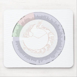 A phylogenetic tree of life Chart Mouse Mat