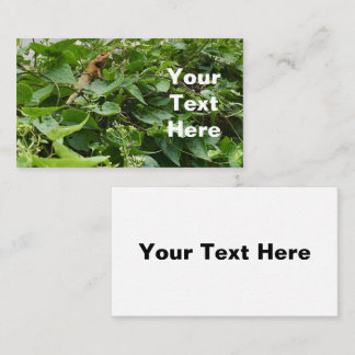 A picture of a red lizard on green leafs business card