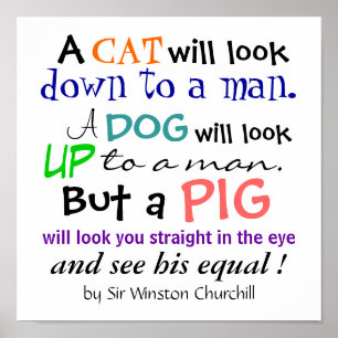 A PIG Quote by Sir Winston Churchill Poster