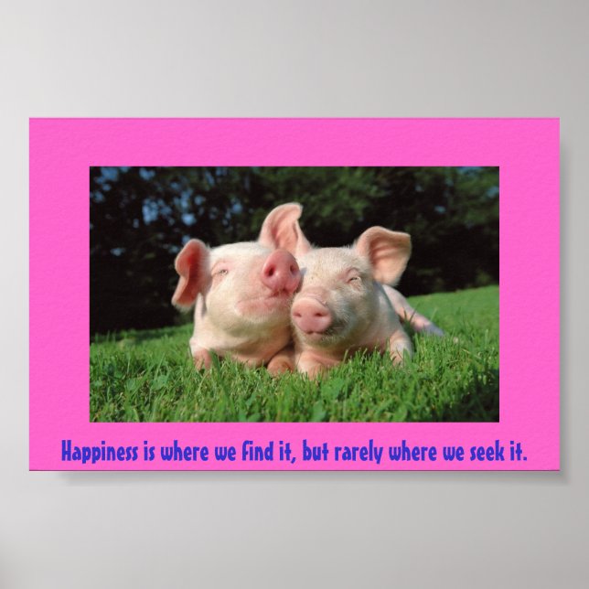 A pigs life poster (Front)