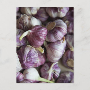 a pile of fresh garlic displayed for sale in postcard