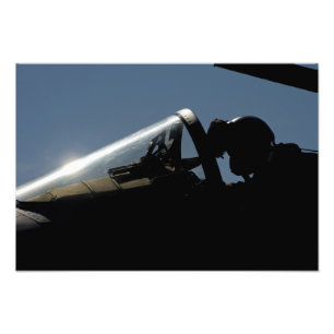 A pilot prepares for take-off photo print