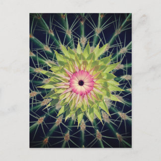 A pink flower holiday postcard
