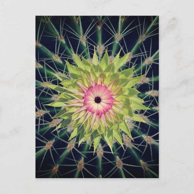 A pink flower holiday postcard (Front)