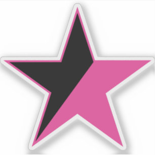 A Pink Star Of Feminism v2