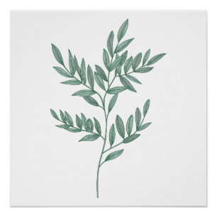 A Pinnate Leaf Painted in Blue Sage Poster Print