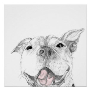 A Pit Bull Smile Poster