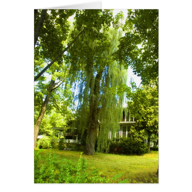 A Place Beyond  - Mystery Almost in Sight Card (Front)