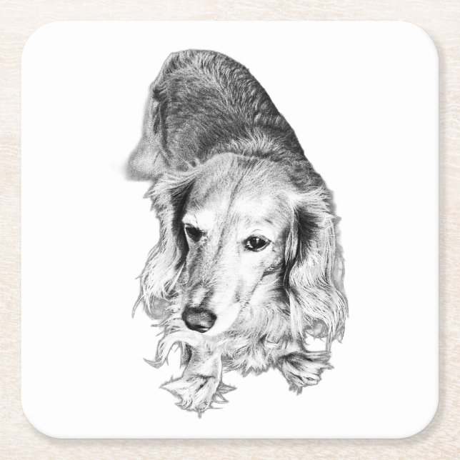 A Place to Pause – Long-Haired Dachshund Square Paper Coaster (Front)