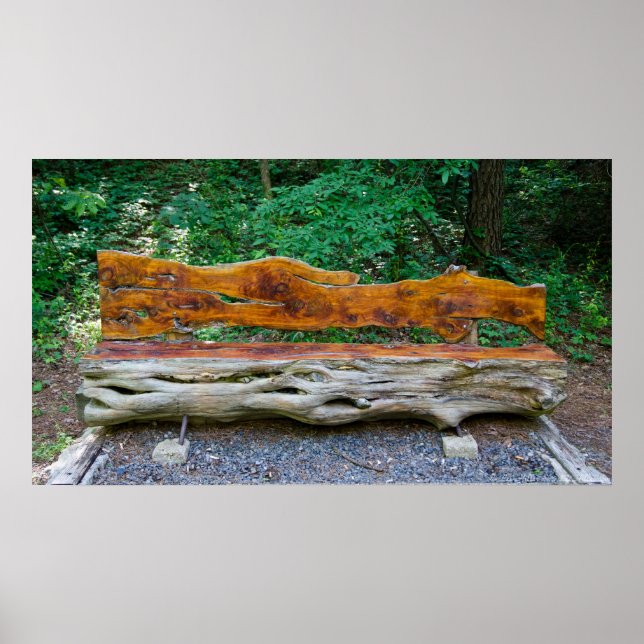 A Place to Rest within the Forest Poster (Front)