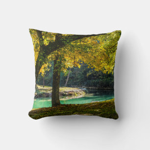 A Place Under The Shade Tree Cushion