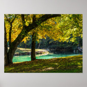 A Place Under The Shade Tree Poster