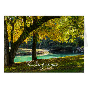 A Place Under The Shade Tree Thinking Of You