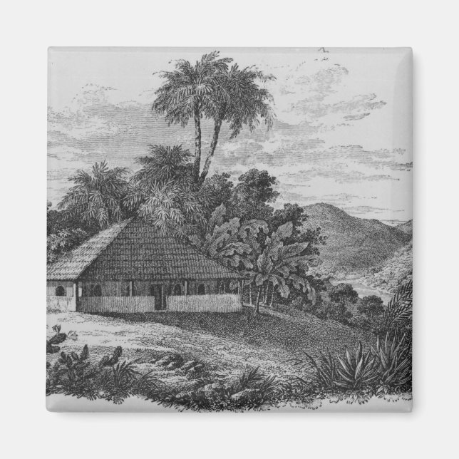 A Planter's House in Brazil Magnet (Front)
