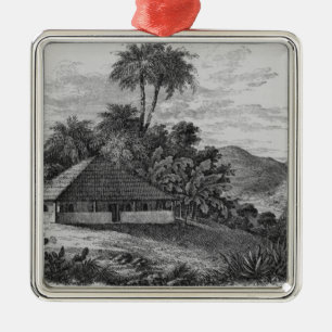 A Planter's House in Brazil Metal Tree Decoration