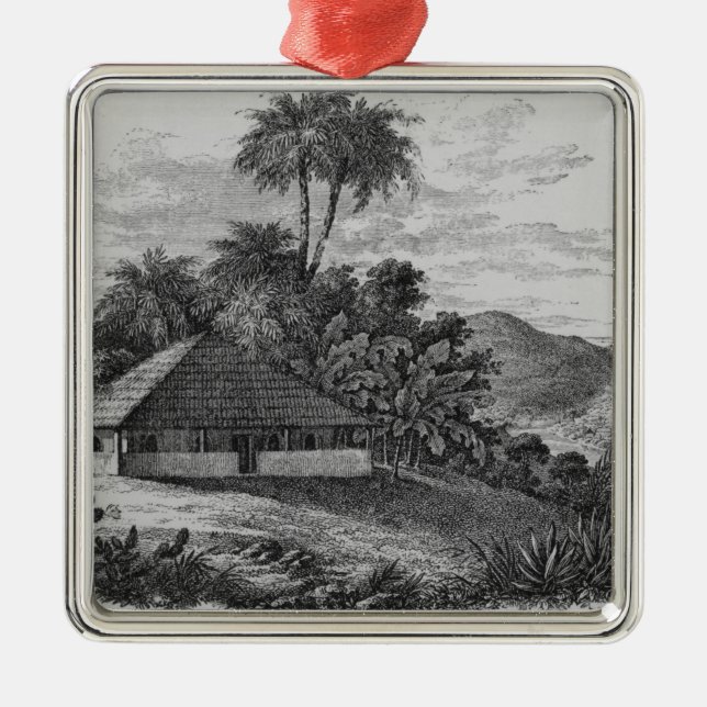 A Planter's House in Brazil Metal Tree Decoration (Front)