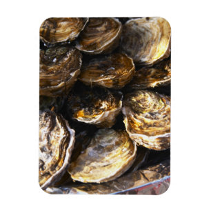 A plate of oysters. magnet