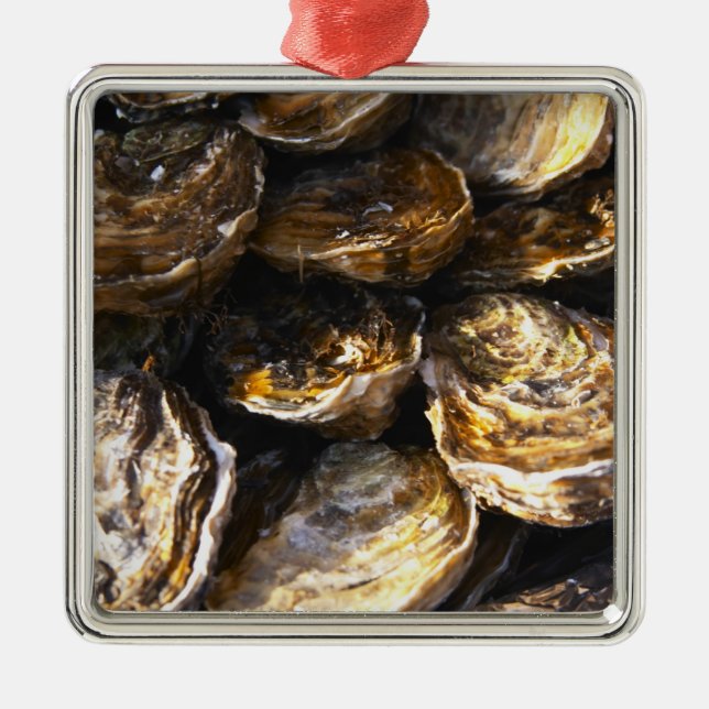 A plate of oysters. metal tree decoration (Front)