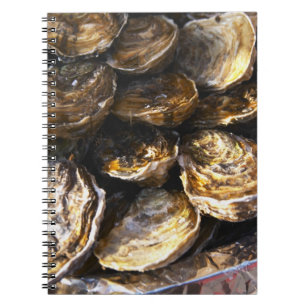 A plate of oysters. notebook