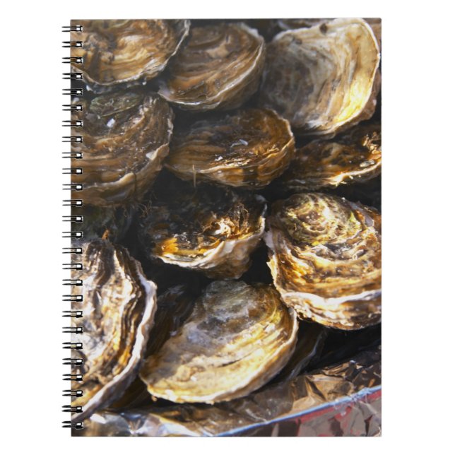 A plate of oysters. notebook (Front)