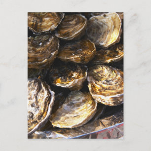 A plate of oysters. postcard