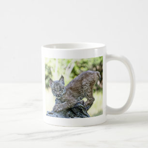 A Playful Canadian Lynx Kitten Coffee Mug