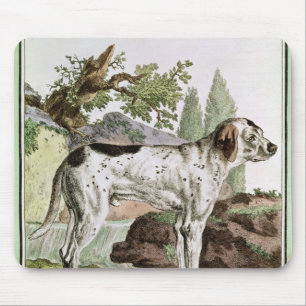 A Pointer, illustration from 'Histoire Mouse Mat