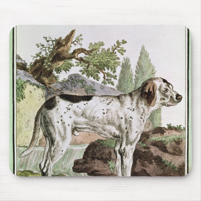 A Pointer, illustration from 'Histoire Mouse Mat (Front)