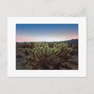 "A Pointy View" Postcard