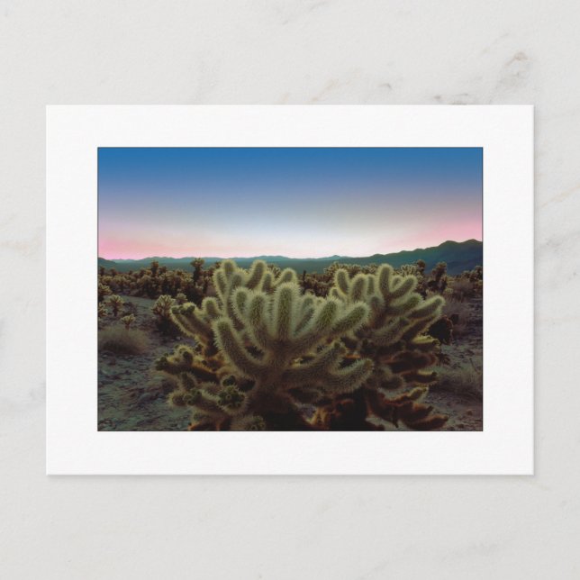 "A Pointy View" Postcard (Front)