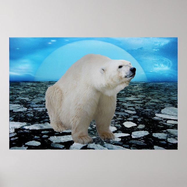 A polar bears time poster (Front)