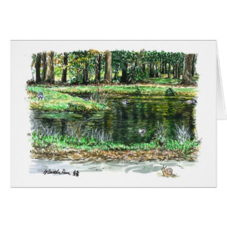 A pond for ducks