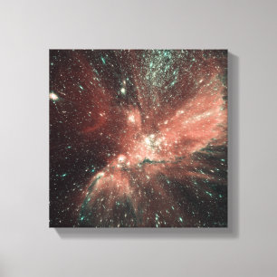 A population of infant stars in the Milky Way Canvas Print