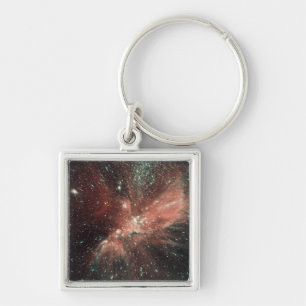 A population of infant stars in the Milky Way Key Ring
