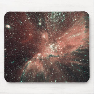A population of infant stars in the Milky Way Mouse Mat