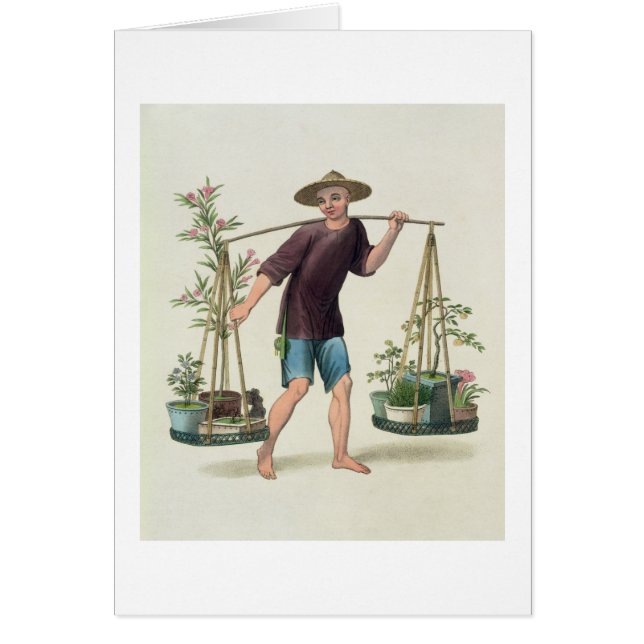 A Porter with Fruit Trees and Flowers, plate 16 fr (Front)