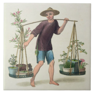 A Porter with Fruit Trees and Flowers, plate 16 fr Tile