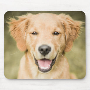 A Portrait Of A Golden Retriever Puppy Mouse Mat